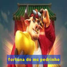 fortuna do mc pedrinho